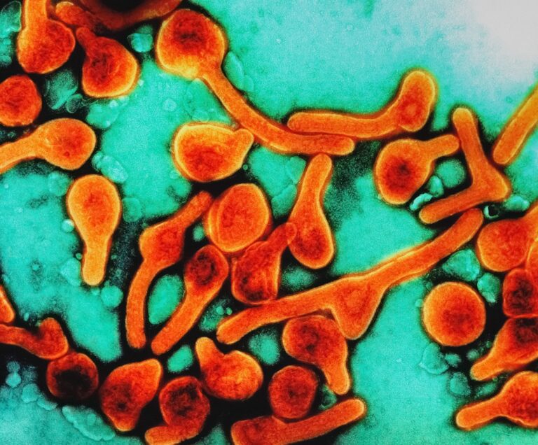 Objawy boreliozy - jak ją rozpoznać i co robić dalej